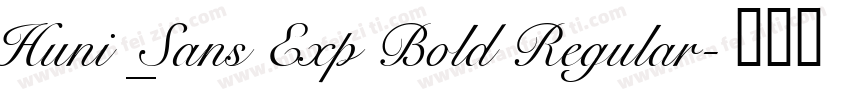 Huni_Sans Exp Bold Regular字体转换